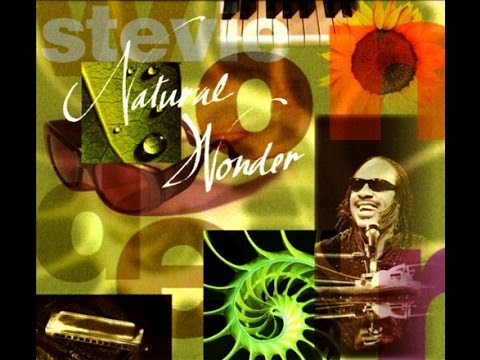 Stevie Wonder-Pastime Paradise LIVE in JAPAN (Good sound)