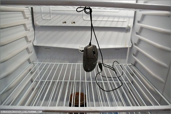 Пустой холодильник зовет меня в бой!