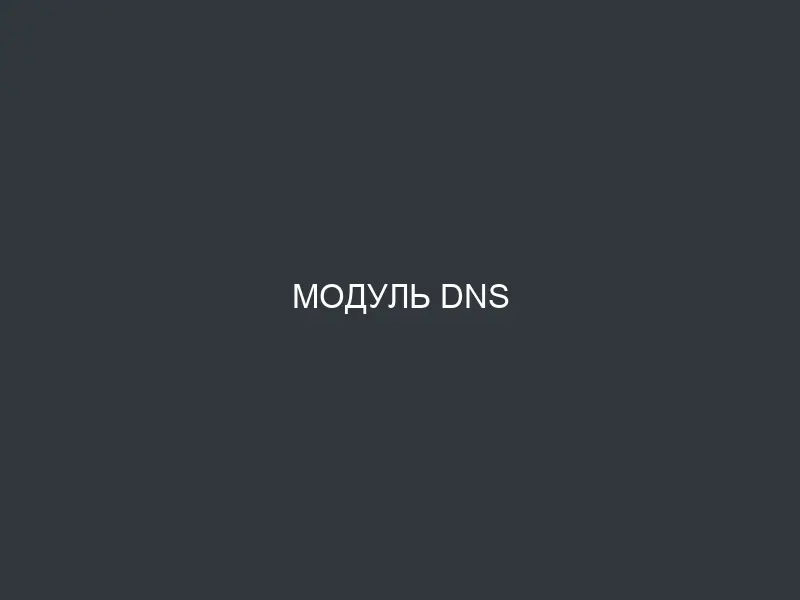 Модуль DNS