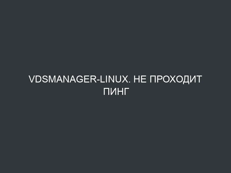 VDSmanager-Linux. Не проходит пинг изнутри VDS