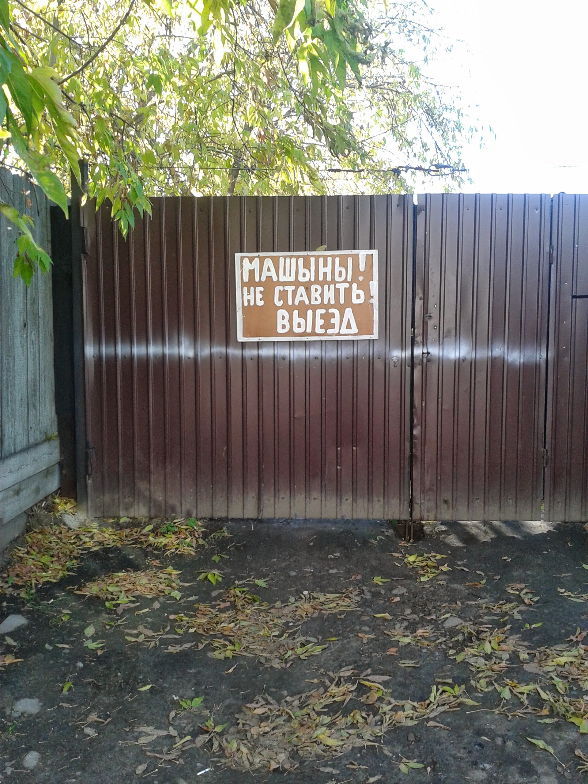 Родная речь. Выпуск 1