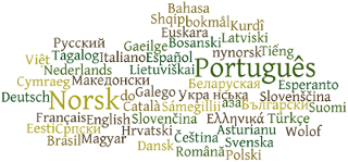 Помощь в локализации нового графического установщика в Manjaro