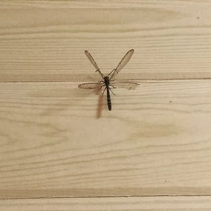 Середина лета пройдена. Начинаю задумываться об абонементе в спортклуб. В идеале на троих. В идеале с бассейном (тащемта, в приоритете, в идеале — поближе к кукольному театру и идеале подешевле (ну, как обычно :) есть варианты?