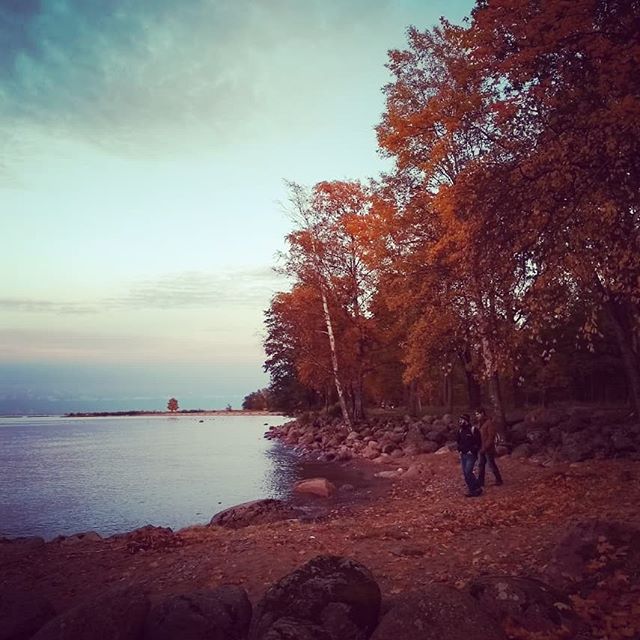 Осенняя прогулка к финскому заливу.