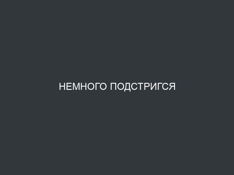 Немного подстригся