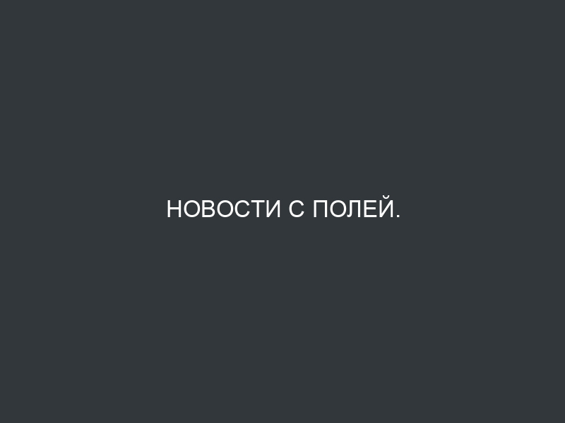 Новости с полей.