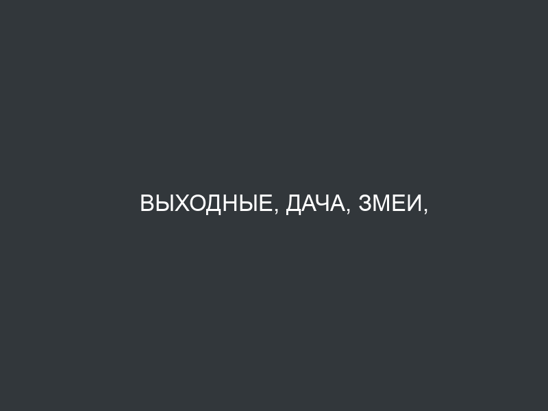 Выходные, дача, змеи, бабочки… пожар