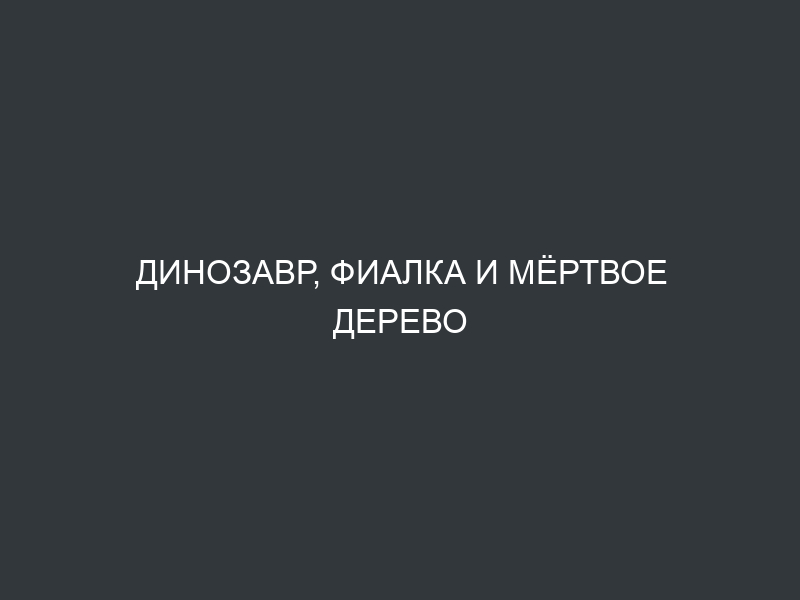 Динозавр, фиалка и мёртвое дерево
